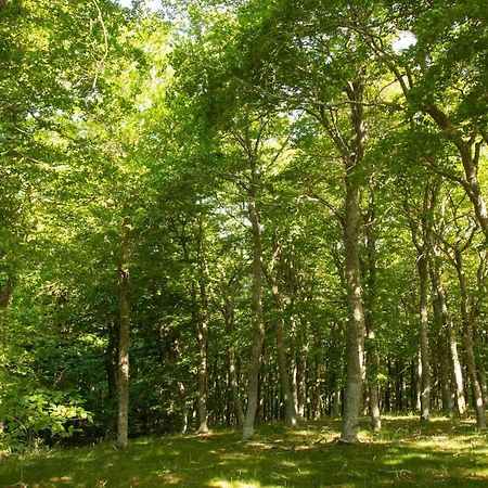 Гостьовий будинок Casa Rural El Huerto De La Fragua Енсісо Екстер'єр фото