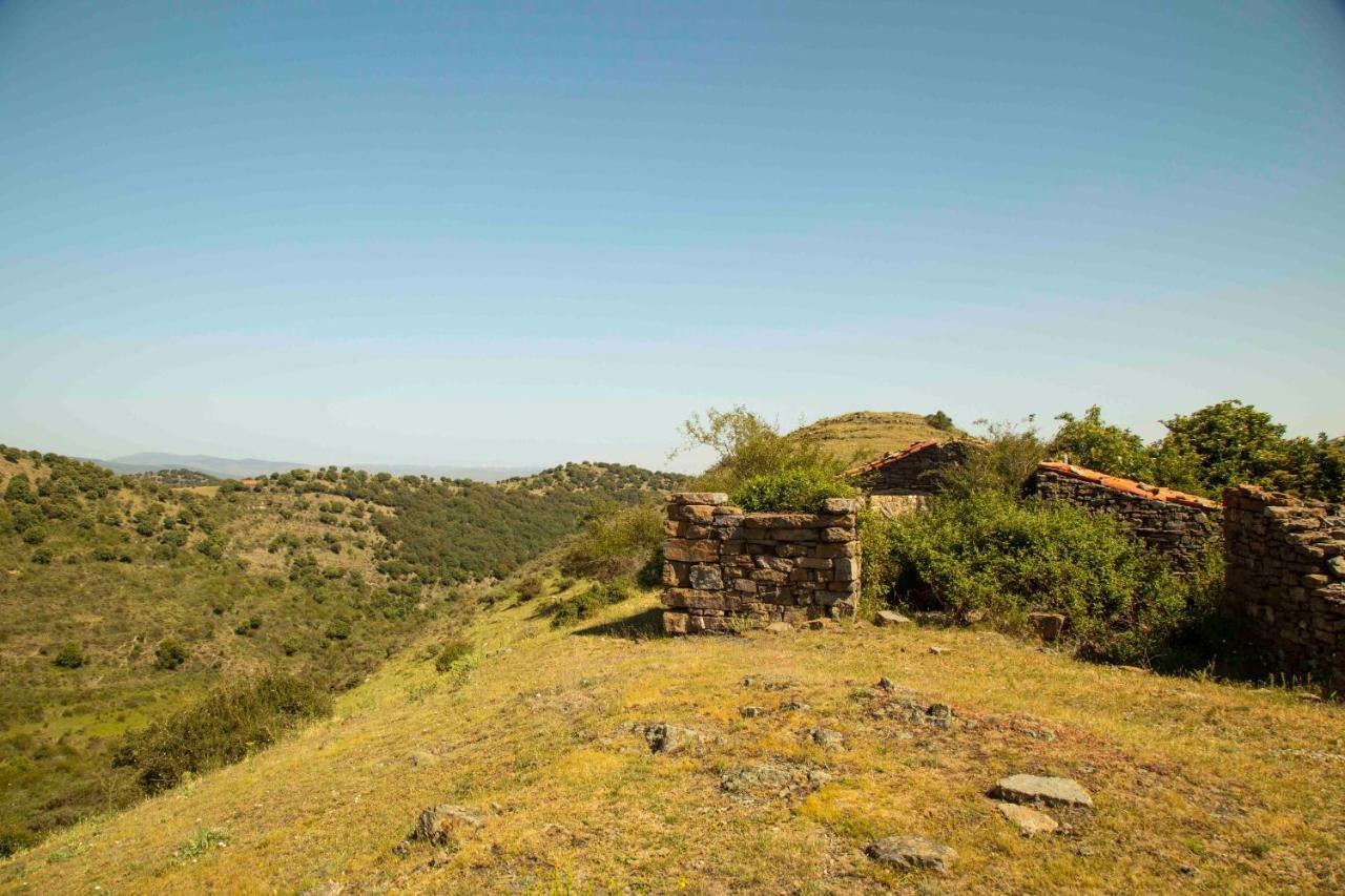 Гостьовий будинок Casa Rural El Huerto De La Fragua Енсісо Екстер'єр фото