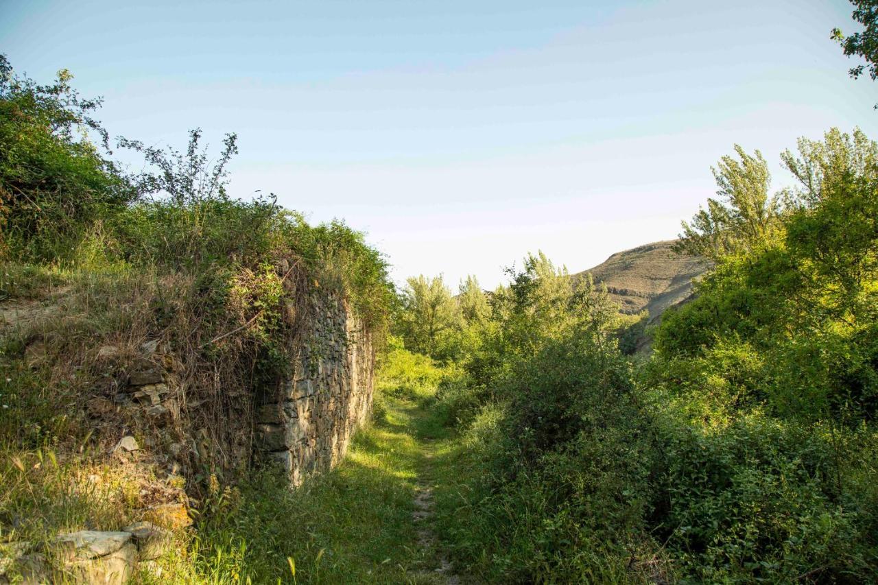 Гостьовий будинок Casa Rural El Huerto De La Fragua Енсісо Екстер'єр фото