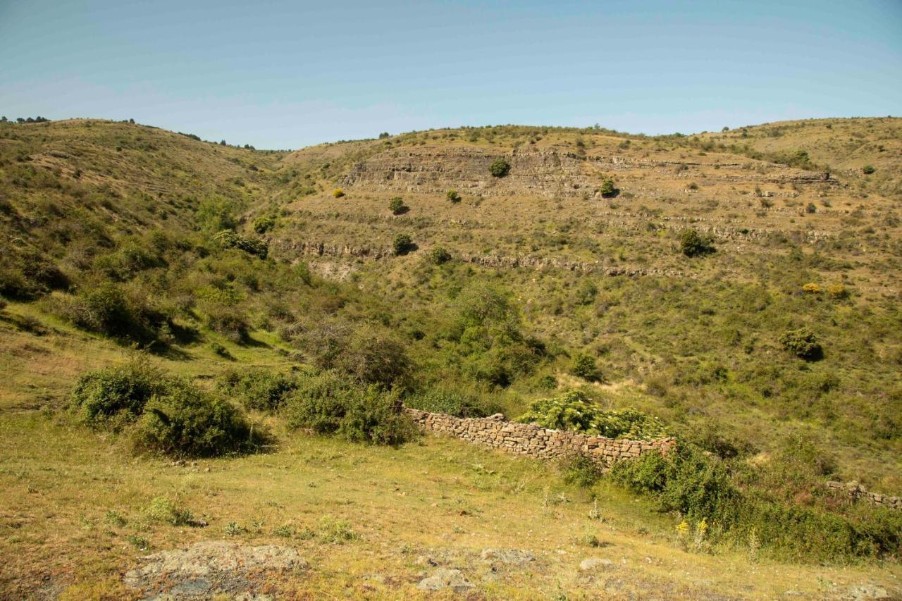 Гостьовий будинок Casa Rural El Huerto De La Fragua Енсісо Екстер'єр фото